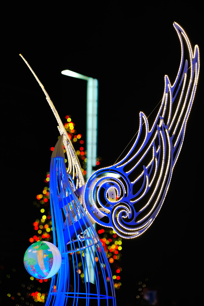 DSC3195