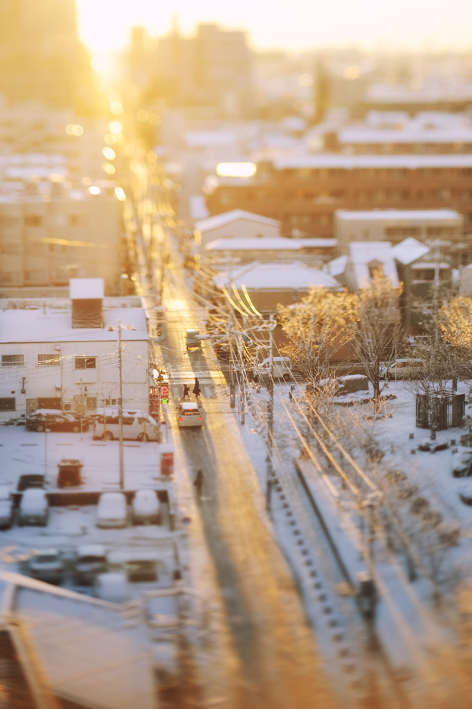 snow morning