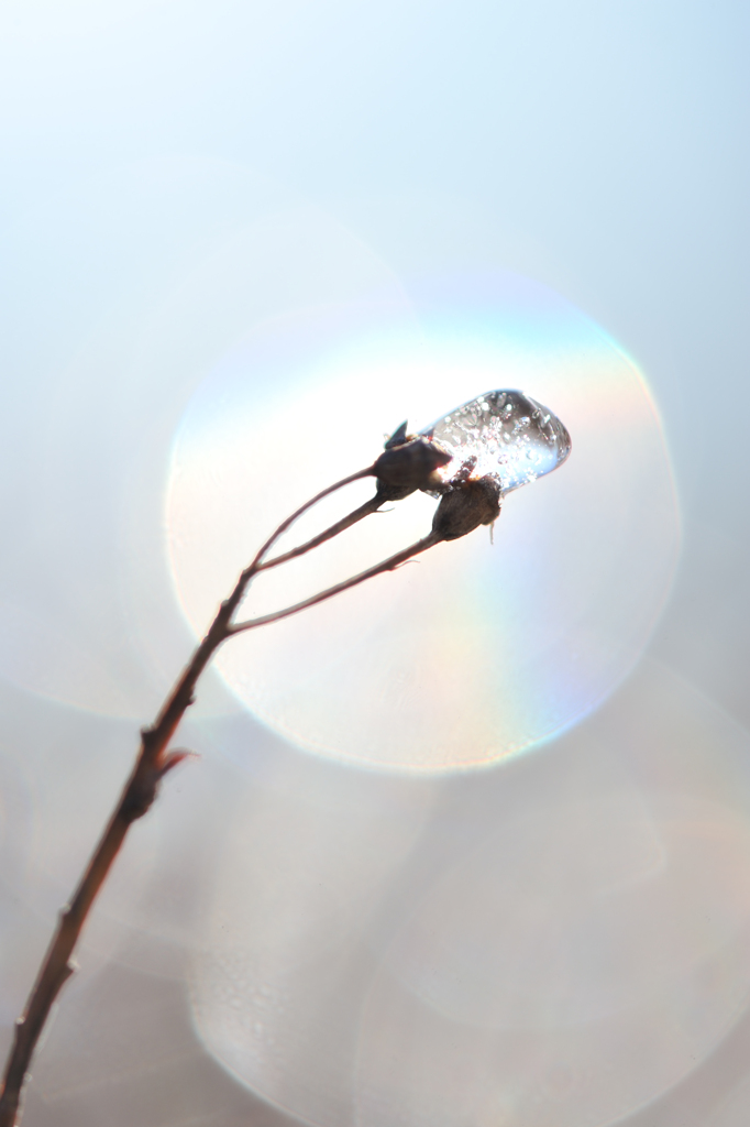 20120218_DSC5924