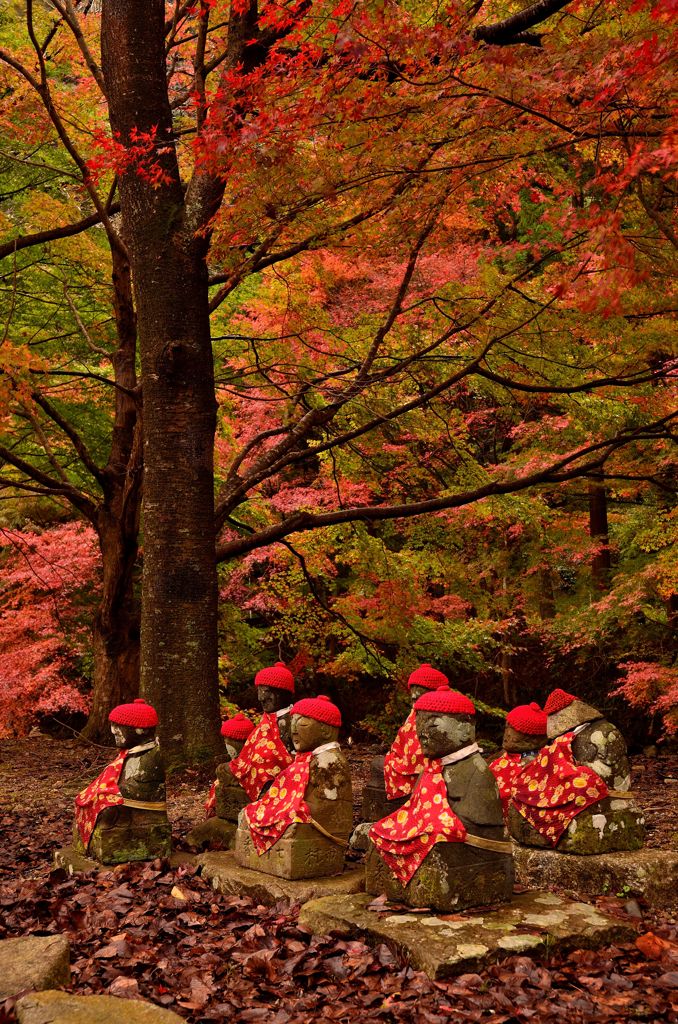 優しい祈り