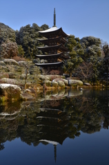 山口の宝