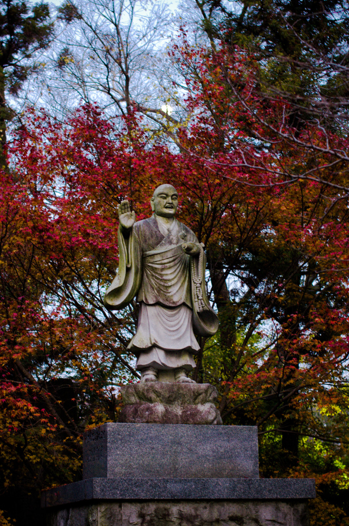 紅葉