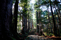 熊野古道