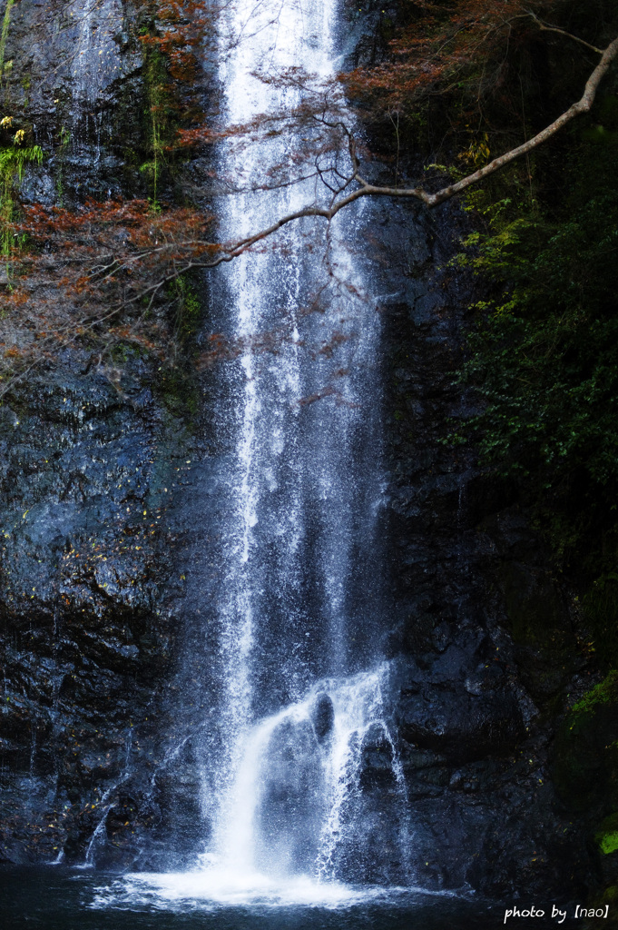 箕面の滝　3