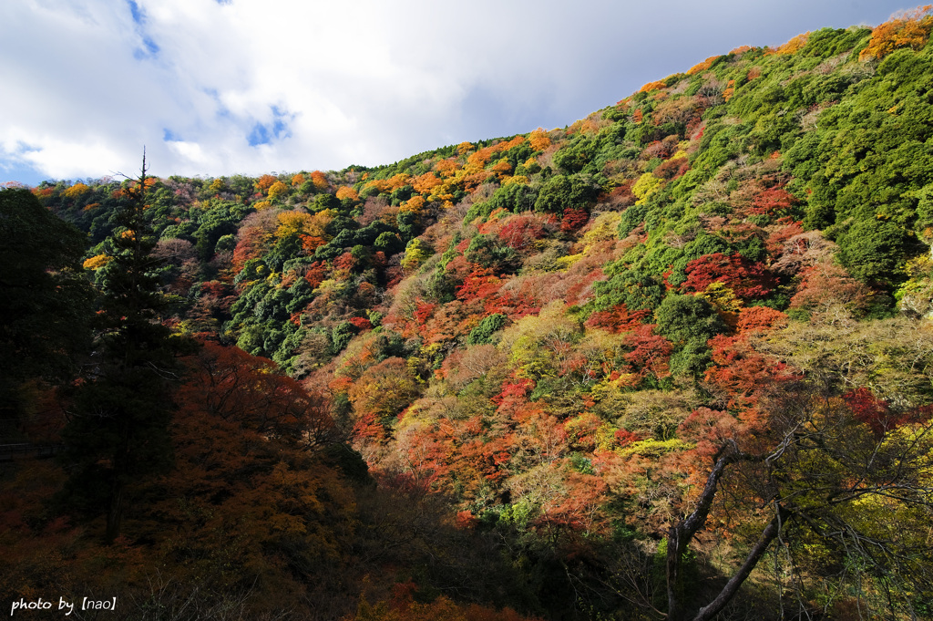 箕面山