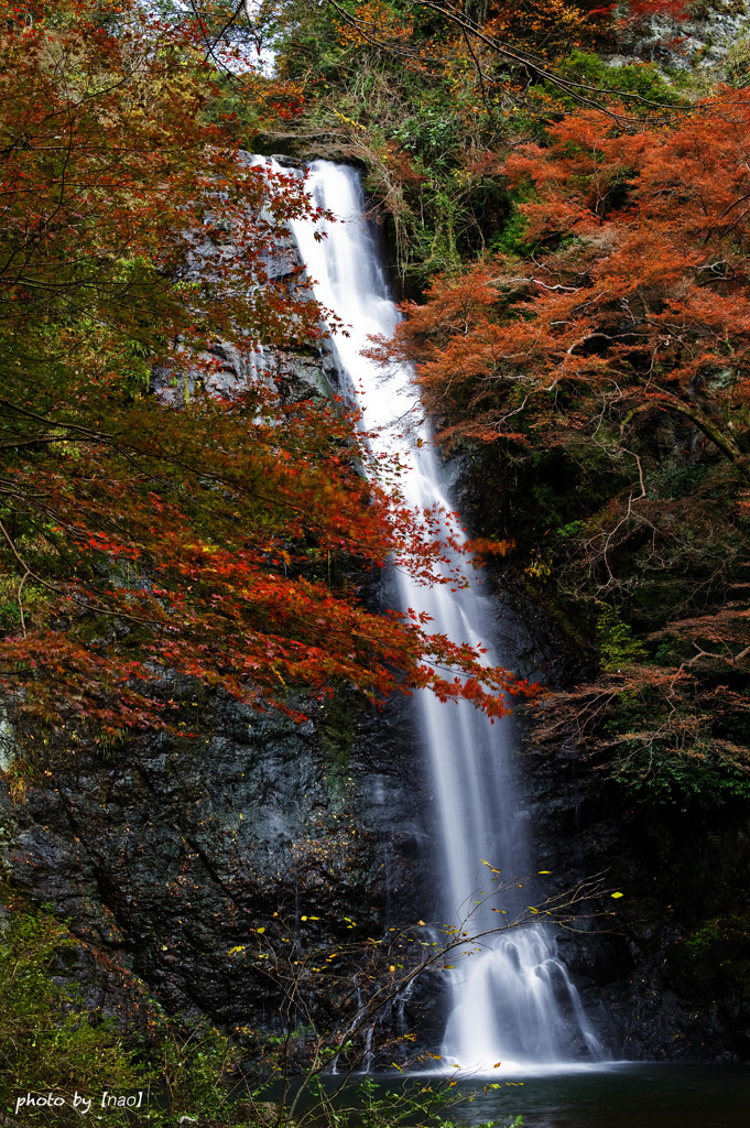 箕面の滝　1