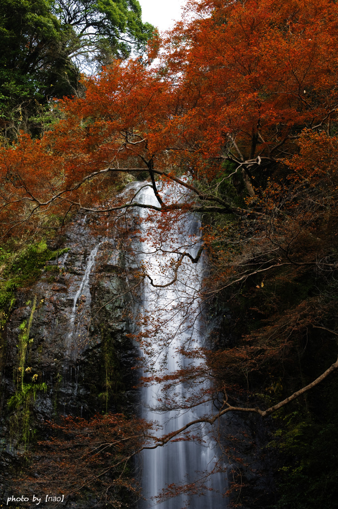 箕面の滝　2