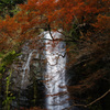 箕面の滝　2