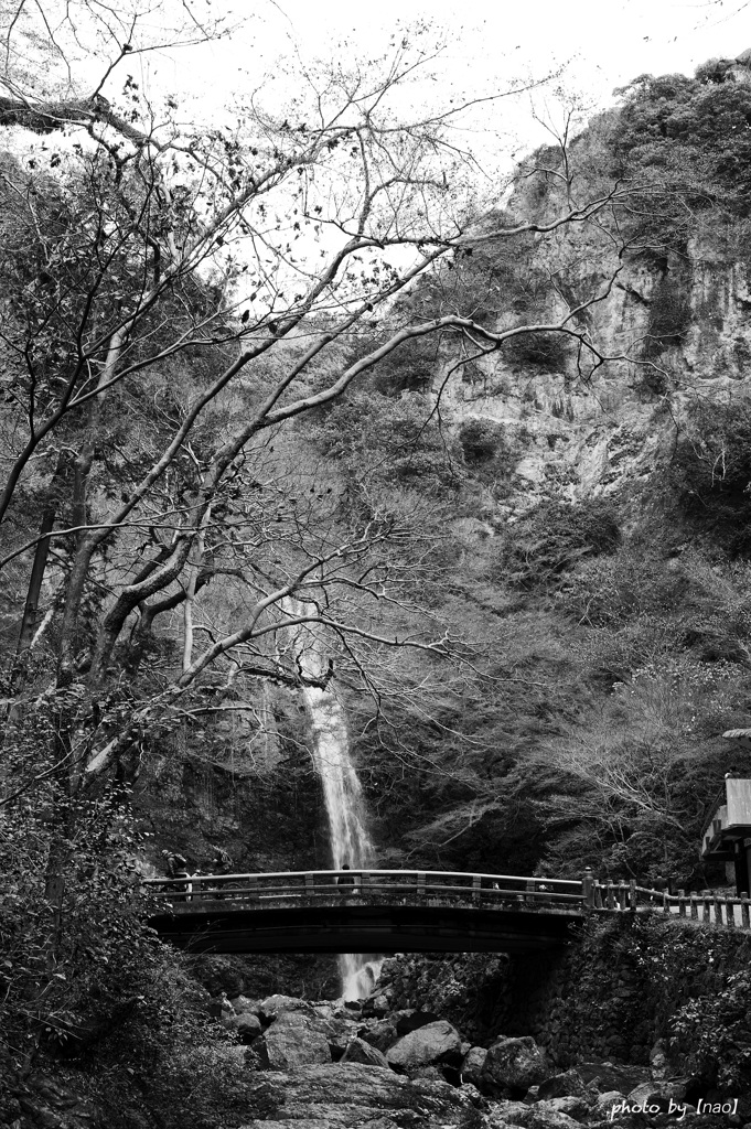 箕面の滝　4