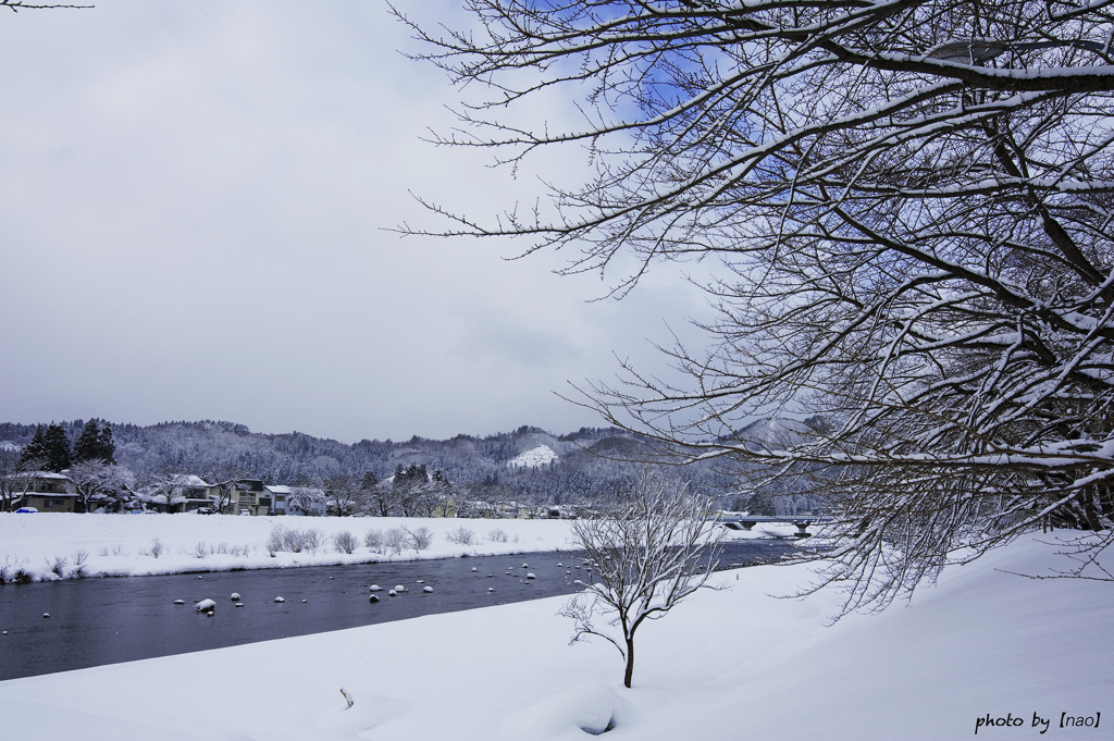 檜木内川左岸堤防