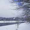 檜木内川左岸堤防