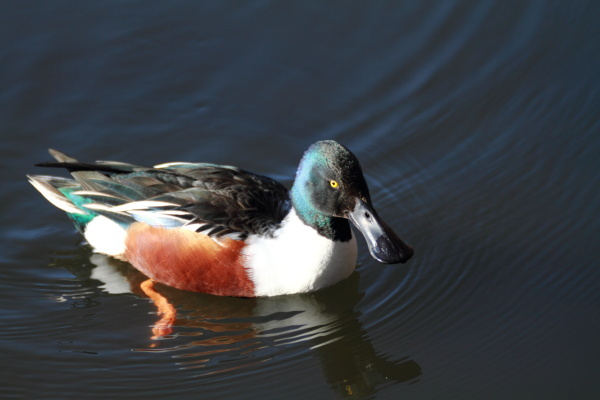 120-300を持って・・・at 石神井公園