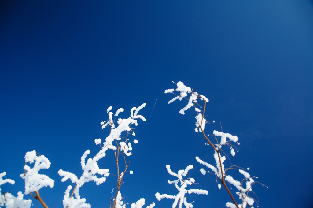 氷点下の空