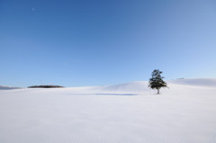 雪砂漠