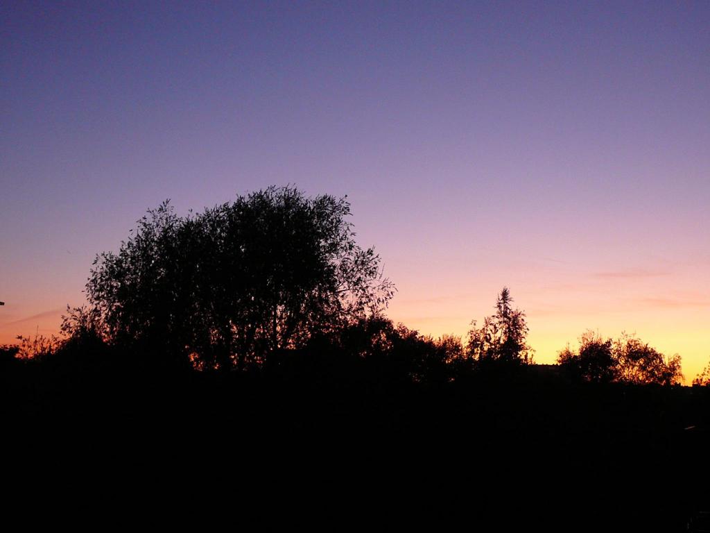 夕焼け