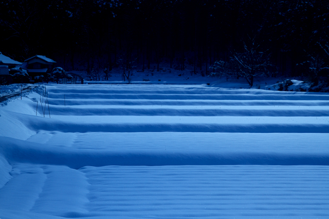 鹿野雪景色