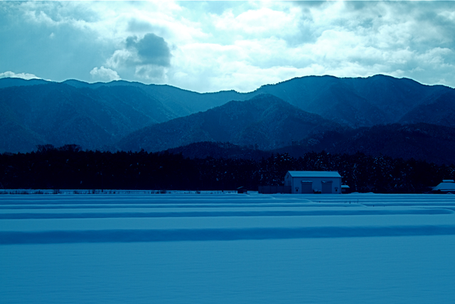 阿東雪景色