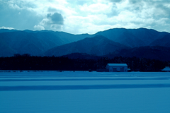 阿東雪景色