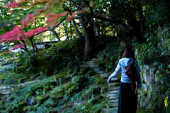 探検