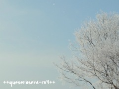 樹氷