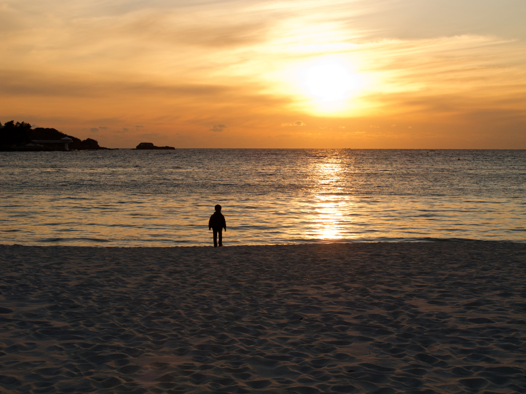 2011大晦日　夕日と息子