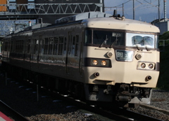 117系