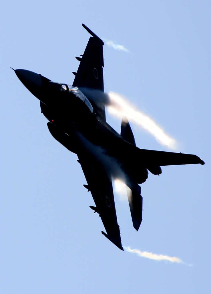 新田原基地祭2011 (7)