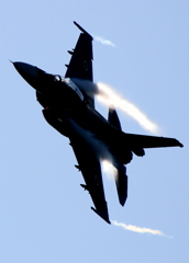 新田原基地祭2011 (7)