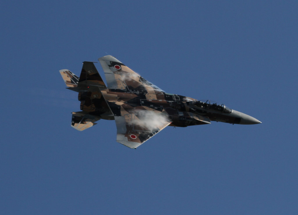 新田原基地祭2011 (3)