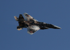 新田原基地祭2011 (3)