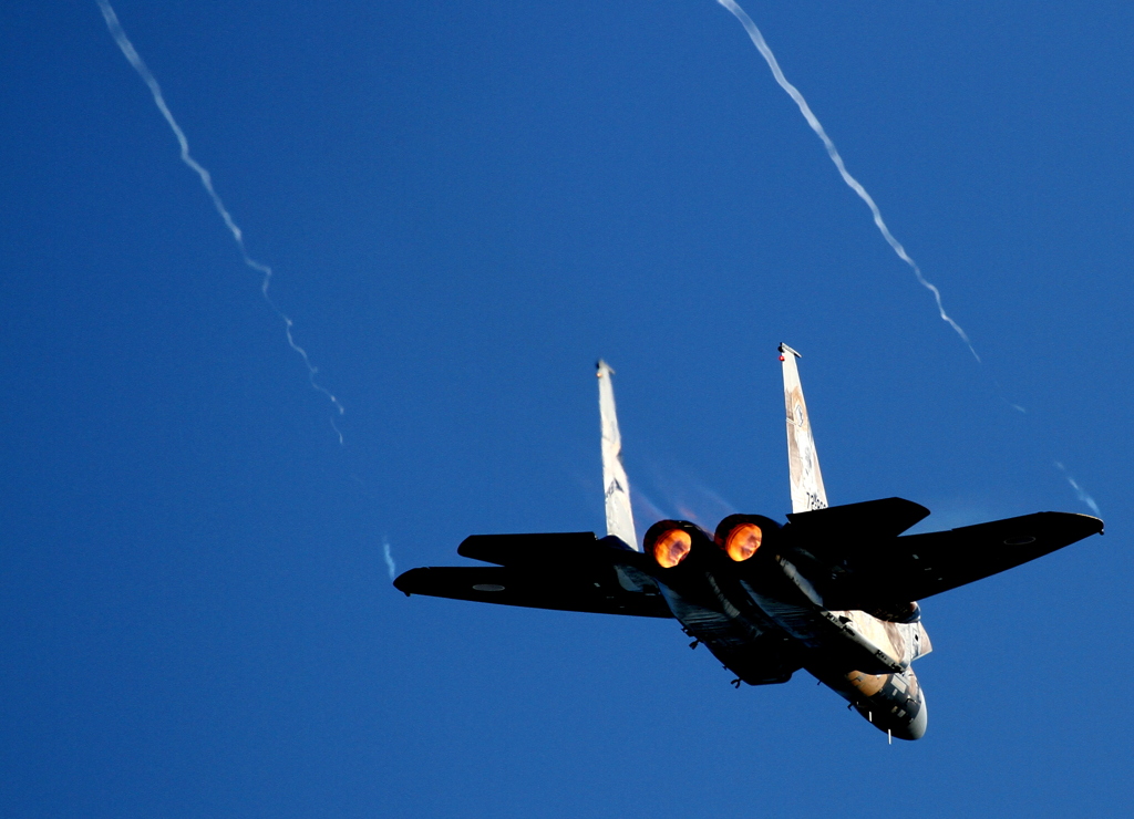 新田原基地祭2011 (4)