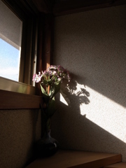 R0030424