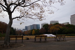 日比谷公園