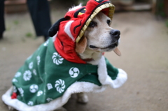 謹賀新年