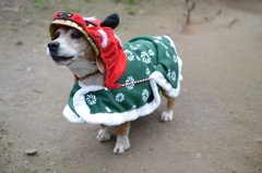 謹賀新年