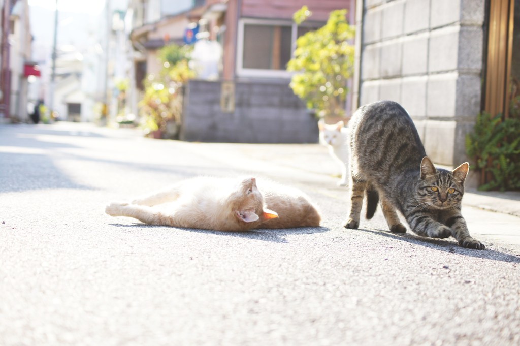 ぽかぽか陽気＾＾