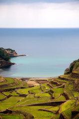 浜野浦の棚田