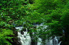 白糸の滝