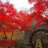 祖谷渓谷　蕎麦処の紅葉２