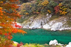 祖谷渓谷　紅葉