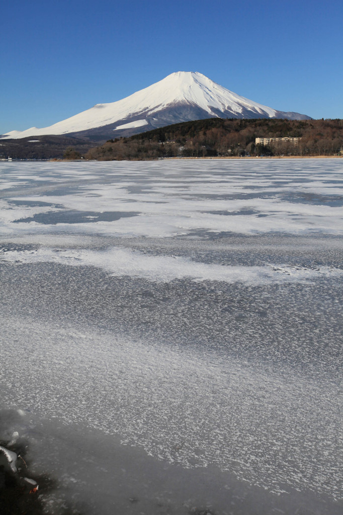 山中湖　平野