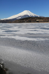 山中湖　平野