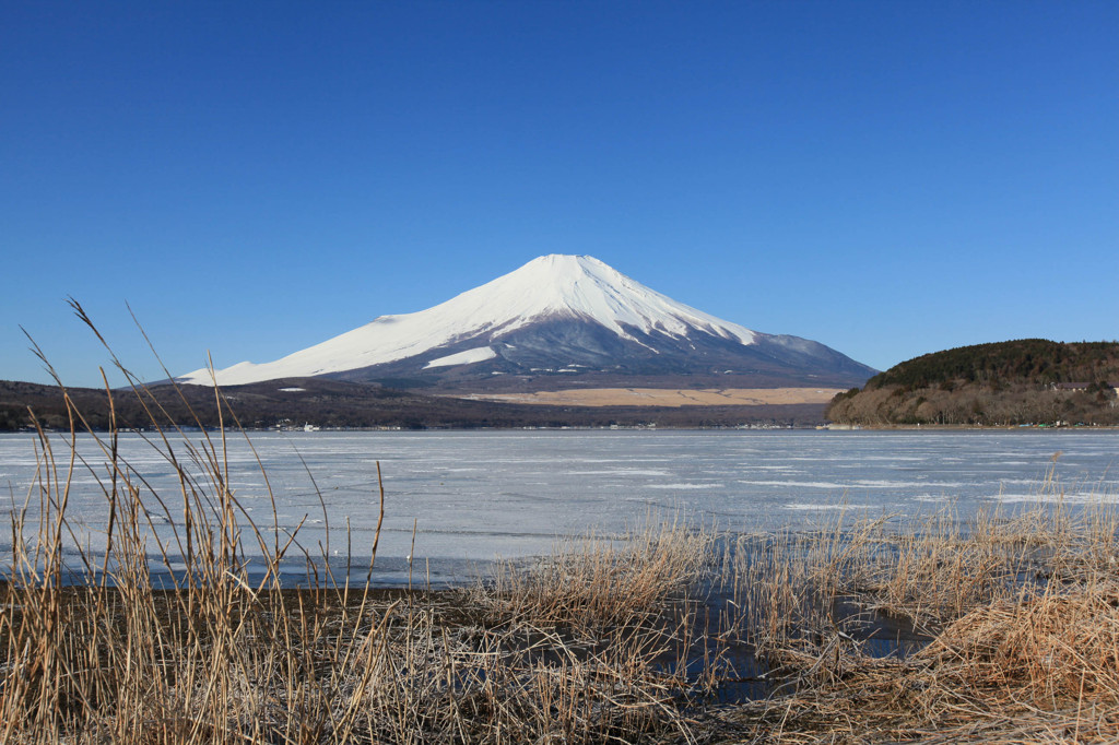 山中湖　平野２