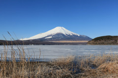 山中湖　平野２