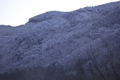 由布岳５
