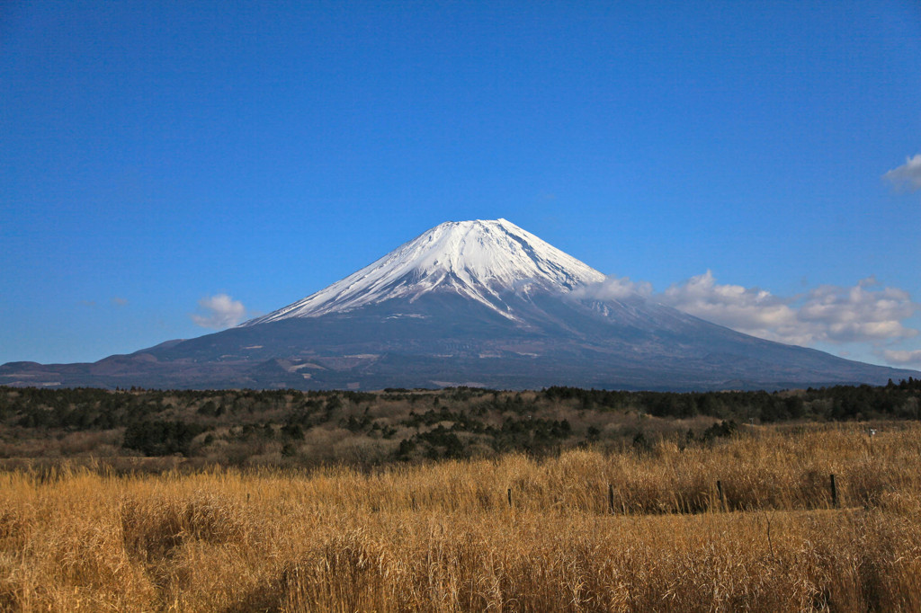 朝霧高原