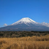 朝霧高原