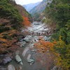 祖谷のかずら橋