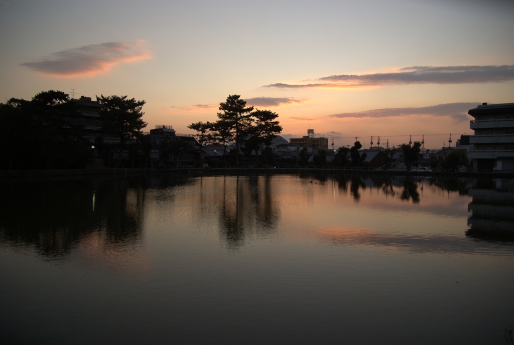 夕暮れの猿沢池