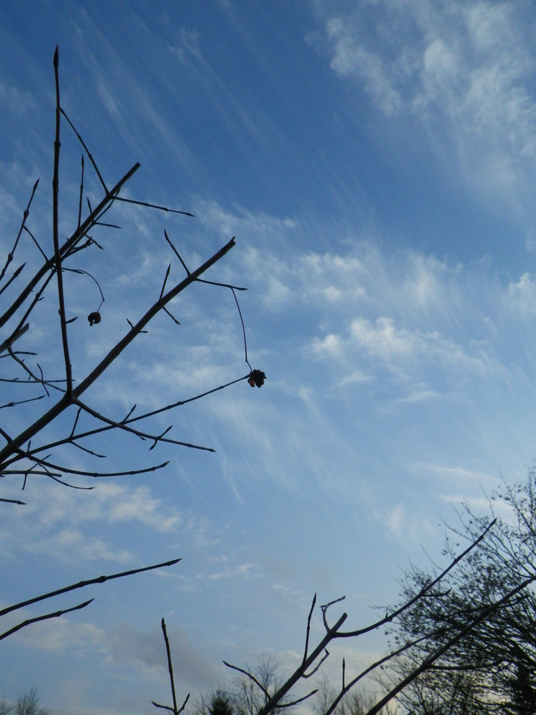 秋空